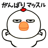 768356062