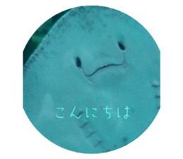 768363073