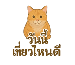 768368605
