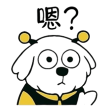 768377655