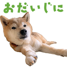 768380899