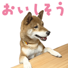 768380914