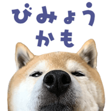 768380918