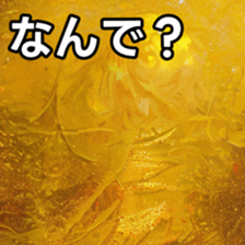 768383253