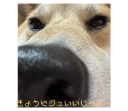 768383606