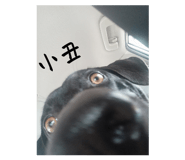 768384919
