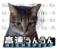 768405928