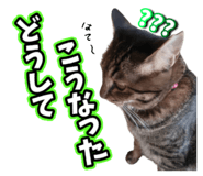 768405930