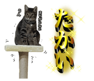 768405932