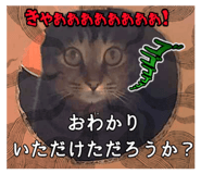 768405947