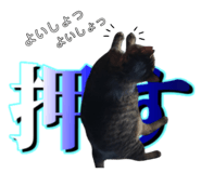 768405951