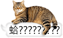 768423825
