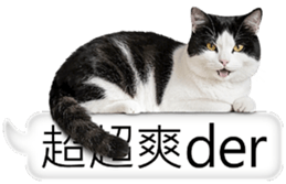 768423832