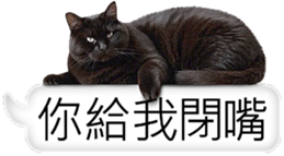 768423833