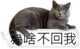 768423838