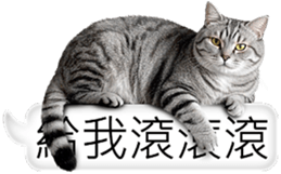 768423840