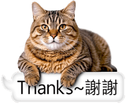 768423845