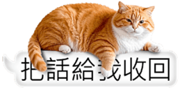 768423855