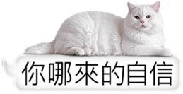 768423856
