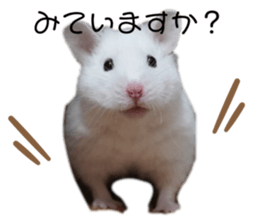 768430981