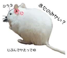 768430987