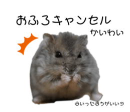 768430989