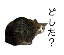 768434754