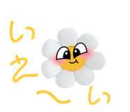 768437612
