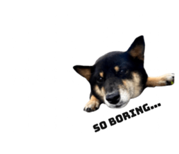 768438609