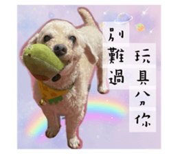 768441709