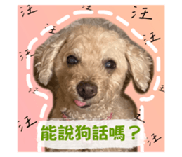 768441722