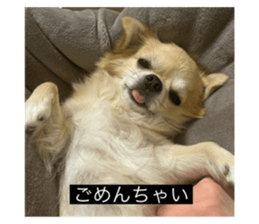 768442676