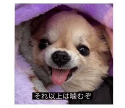 768442677