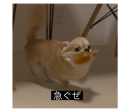 768442680