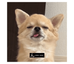 768442688