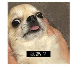 768442690