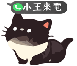 768448406