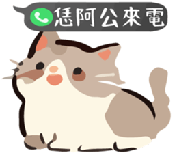768448411