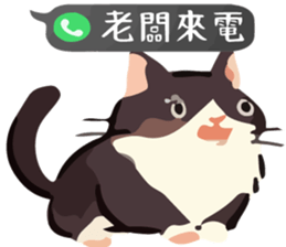 768448415