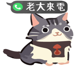 768448417