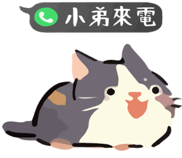 768448418