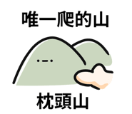 768448713