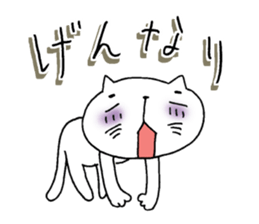 7684503