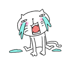 7684506