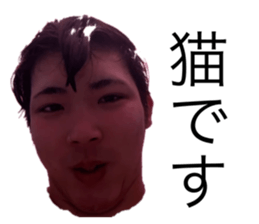 768455338