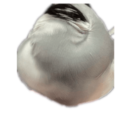 768456691
