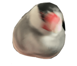 768456694
