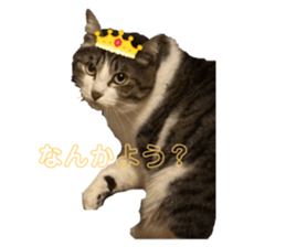 768458032