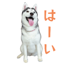 768466680