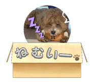 768470745
